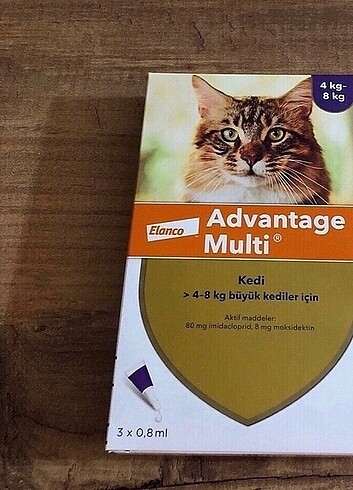 Kedi iç dış parazit