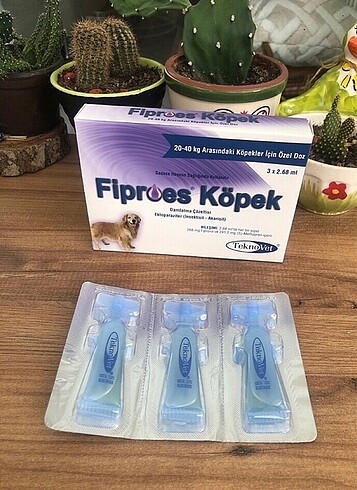 Dış parazit