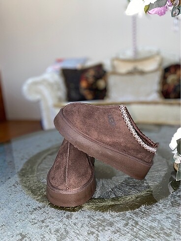 37 Beden Ugg tazz bot
