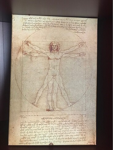 Diğer Da Vinci Vitruvius Adamı Kanvas Tablo