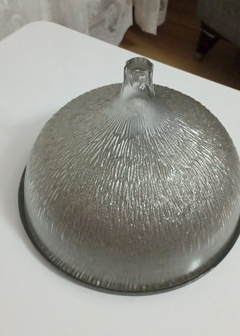 fanus kek - Görsel 2