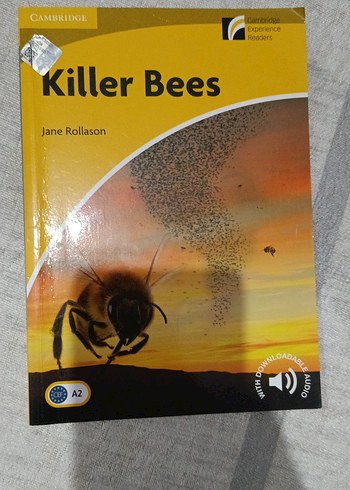 Killer Bees - Jane Rollason