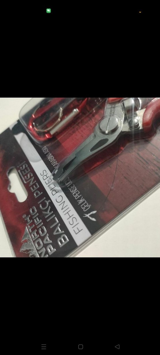 Kırmızı Balıkçı Pensesi - Görsel 4