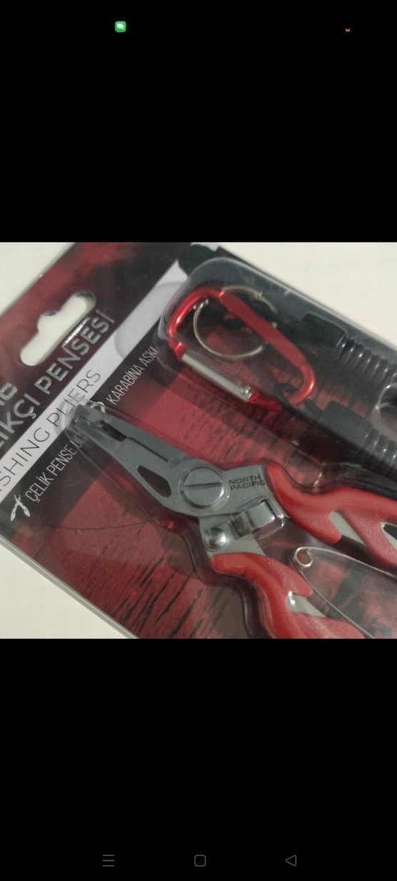 Kırmızı Balıkçı Pensesi - Görsel 3