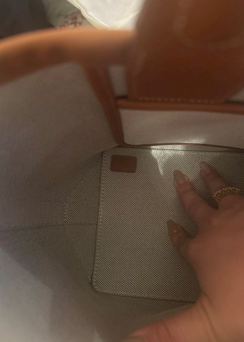 Hermes Hermes canta