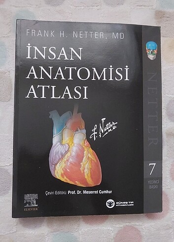Netter Anatomi Atlası 7.baskı