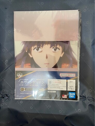 Misato Katsuragi clear file dosya Evangelion Kaji Ryoji