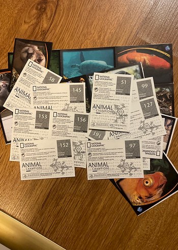 National Geographic Hayvanlar Aleminin Şampiyonları - Görsel 2