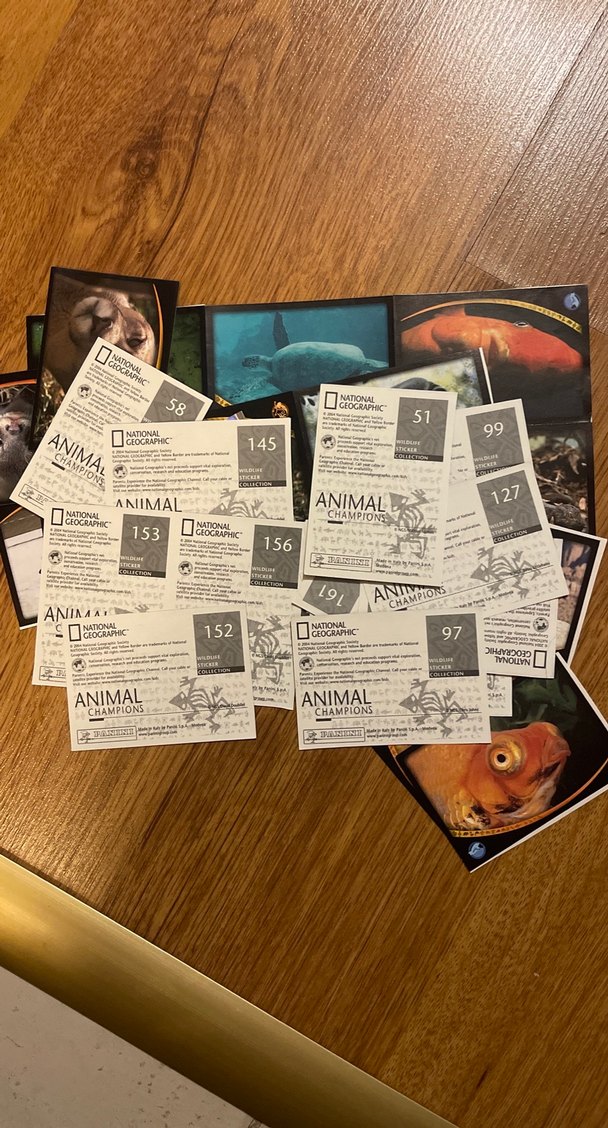 National Geographic Hayvanlar Aleminin Şampiyonları - Görsel 2