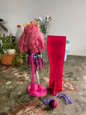 Beden Renk Monster high