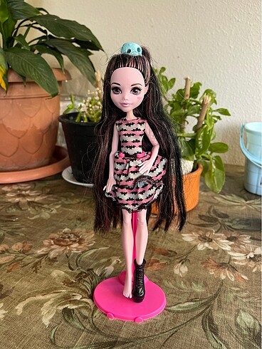 Monster high