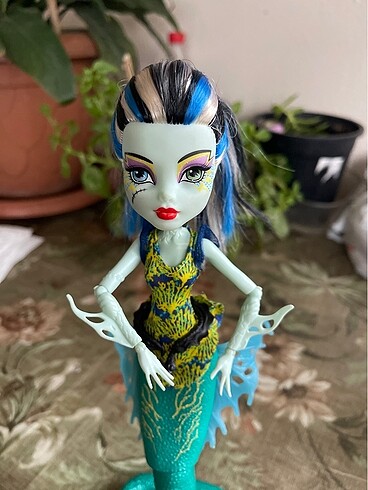 Monster High Monster high