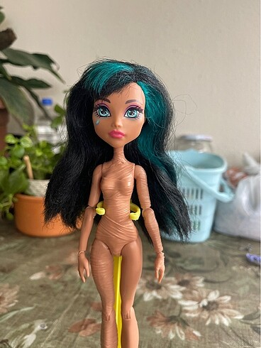 Monster High Monster high