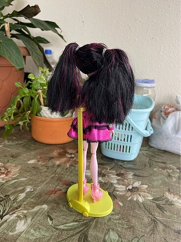 Beden Monster high