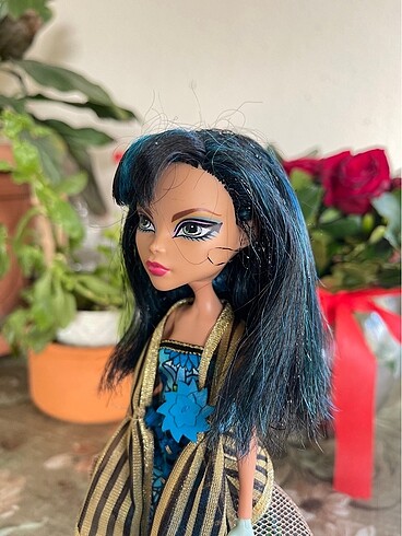 Beden Renk Monster high