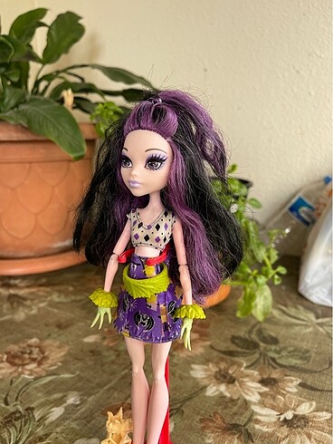 Beden Renk Monster high