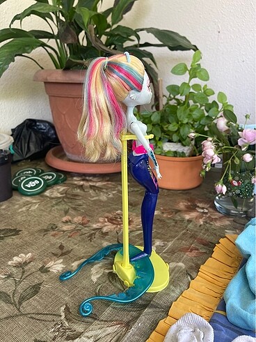 Beden Renk Monster high