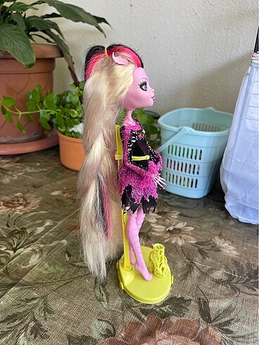 Beden Monster high