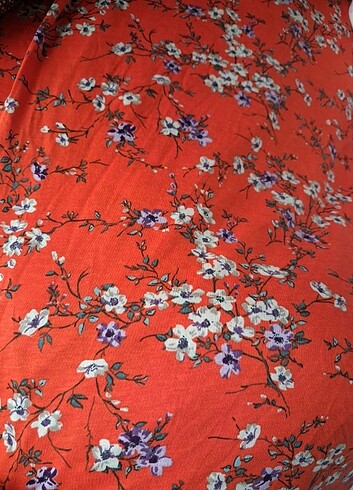 Yazlik penyeler - Görsel 14