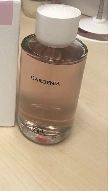 Zara Gardenia