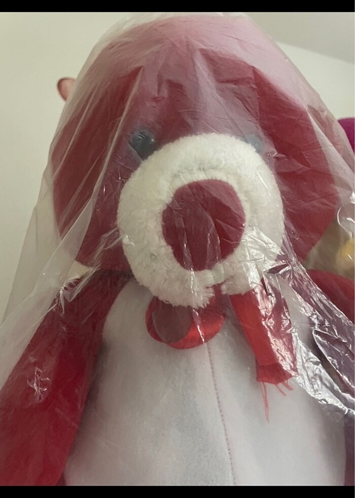 Kırmızı Peluş Ayı - Görsel 2