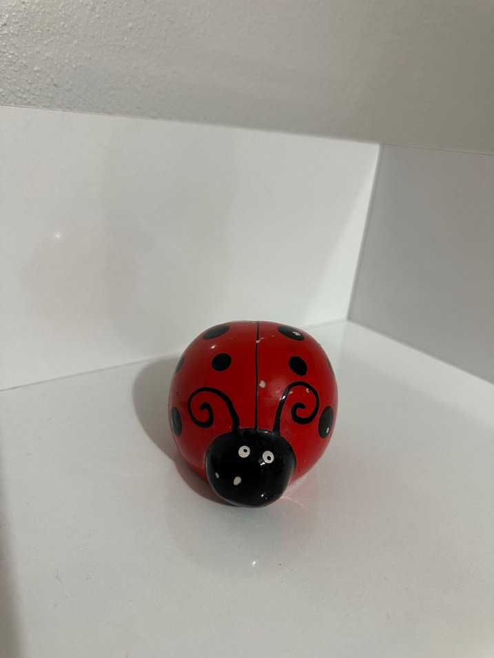 Kırmızı Uğur Böceği kumpara - Görsel 2