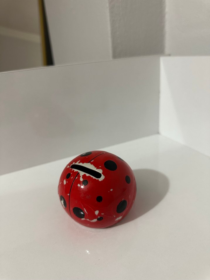 Kırmızı Uğur Böceği kumpara - Görsel 4