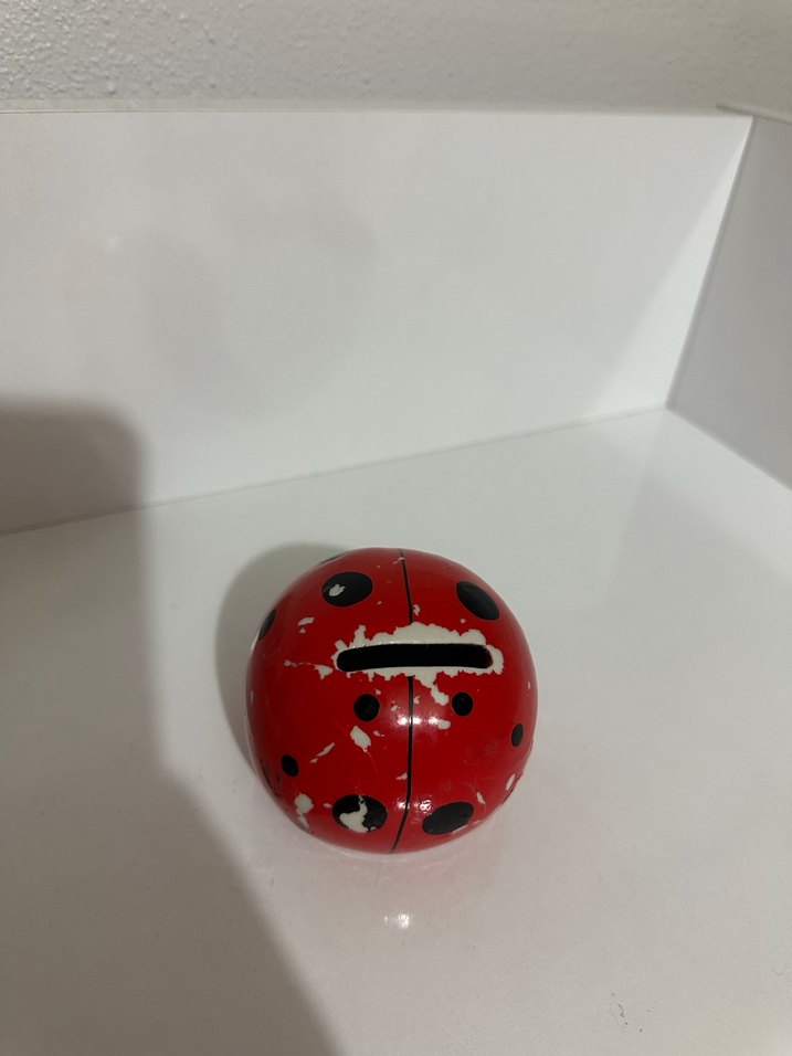 Kırmızı Uğur Böceği kumpara - Görsel 5