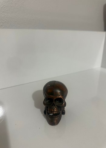 Kahverengi Kafatası Figürü kuru kafa kalemtraş aksesuar - Görsel 3