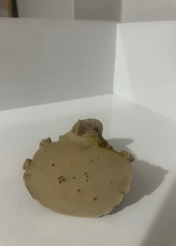 Bej ve Gri İki Çocuk Biblo - Görsel 5