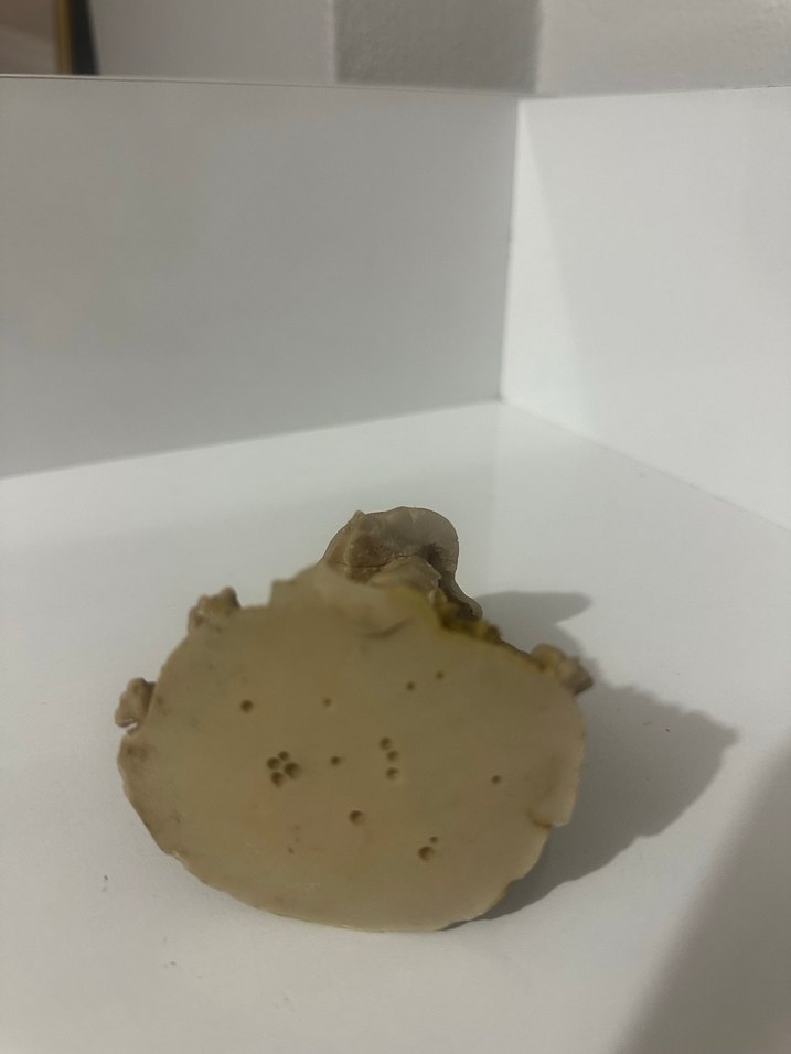 Bej ve Gri İki Çocuk Biblo - Görsel 5