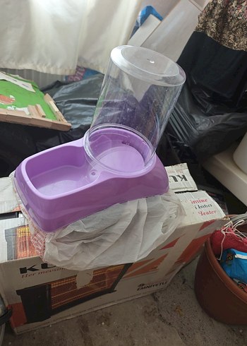 Beyaz Kedi Aksesuarı - Görsel 6