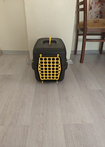 Beyaz Kedi Aksesuarı - Görsel 3