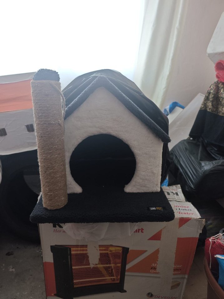 Beyaz Kedi Aksesuarı - Görsel 4