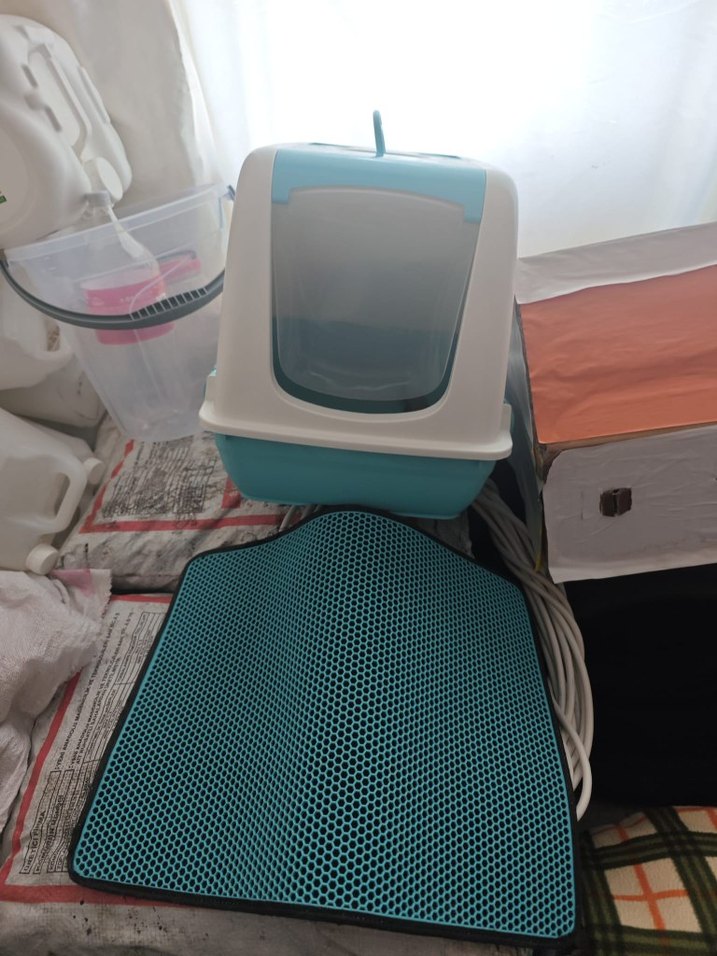 Beyaz Kedi Aksesuarı - Görsel 5