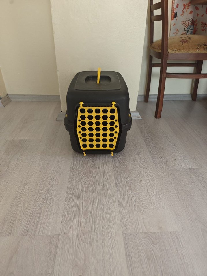 Beyaz Kedi Aksesuarı - Görsel 3