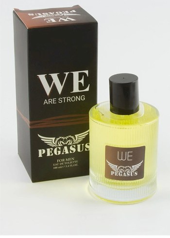 WE Pegasus erkek Parfümü - Görsel 3
