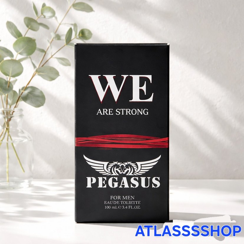 WE Pegasus erkek Parfümü - Görsel 2