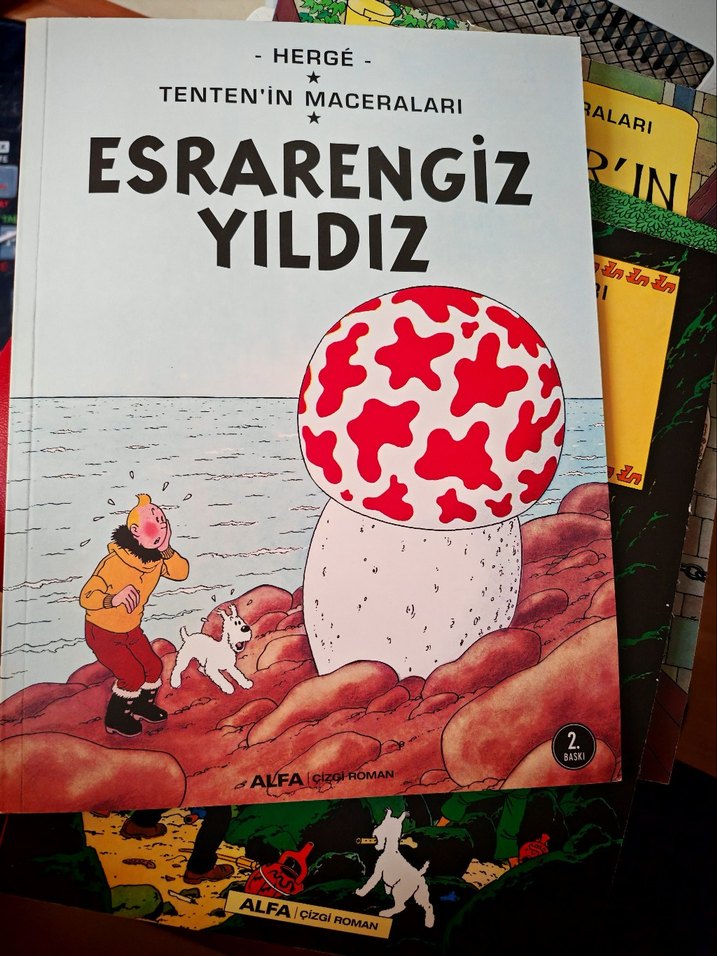 Tenten'in Maceraları 24 kitaplık tam set - Görsel 3