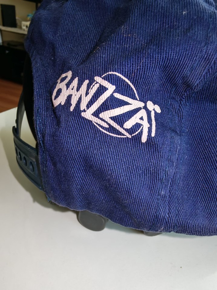 Jurassic Park Lisanslı Lacivert Şapka - Görsel 2