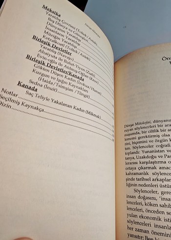 Dünya Mitolojisi Kitabı Ciltli - Donna Rosenberg - Görsel 8