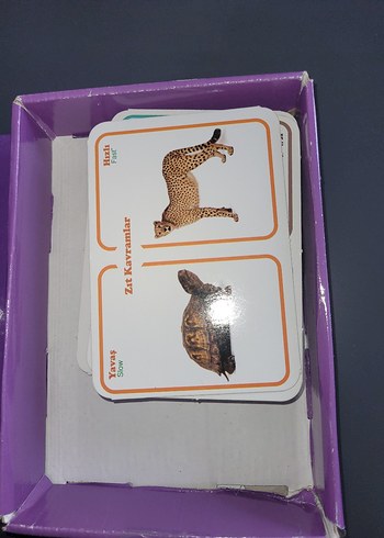 Diğer Eğitici Renkli Şekiller ve Sayılar Seti