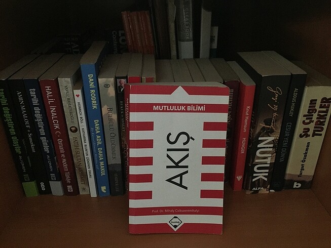 Akış Mutluluk Bilimi