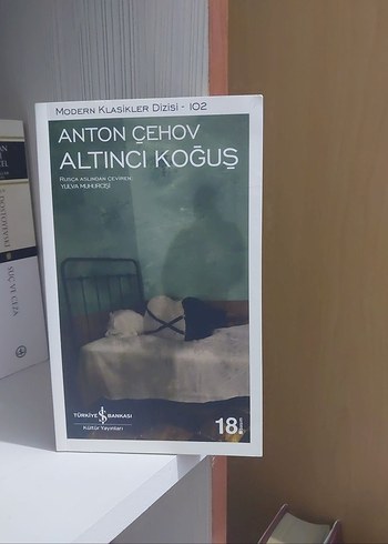Anton Çehov - Altıncı Koğuş Romanı