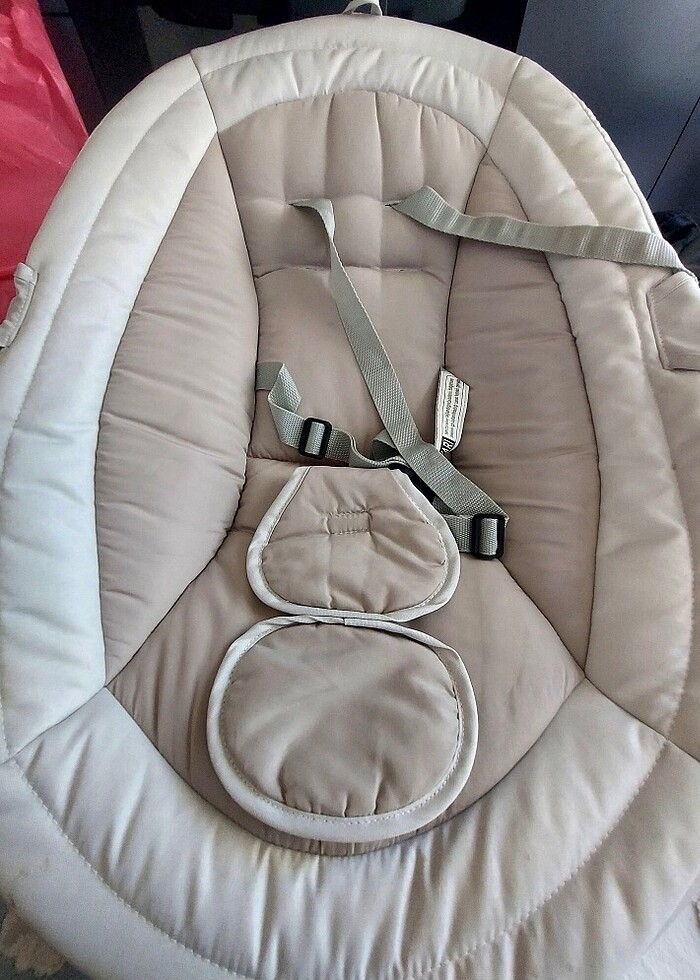 Ana kucağı dandini - Görsel 4