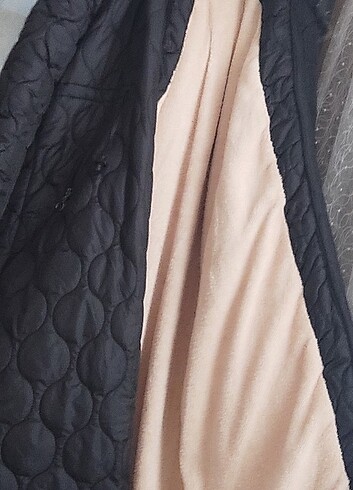 .Mont