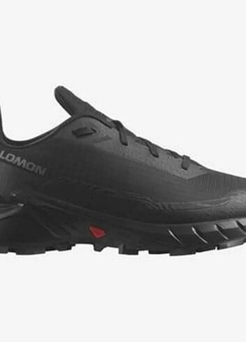 Salomon 46 no orjin  - Görsel 2