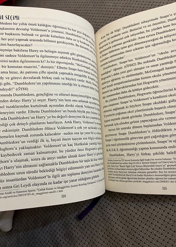 Dumbledore: Hogwarts'ın Tanınmış Müdürünün Hayatı ve Yalanları - Görsel 3