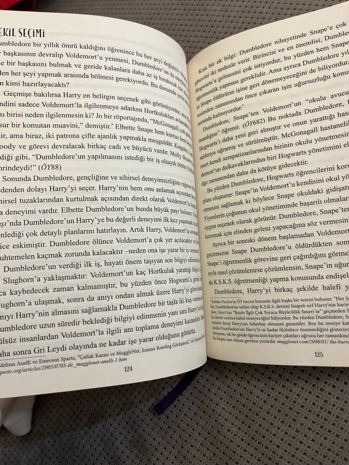Dumbledore: Hogwarts'ın Tanınmış Müdürünün Hayatı ve Yalanları - Görsel 3