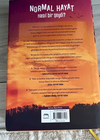 Hayatımın Akılalmaz Mantığı - Benjamin Alire Sáenz - Görsel 3